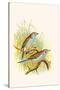 Cordon Bleu or Crimson Eared Waxbill-F.w. Frohawk-Stretched Canvas