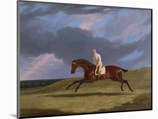 Corduroy', a Bay Racehorse, with a Jockey Up, Galloping on a Racecourse-John Frederick Herring I-Mounted Giclee Print