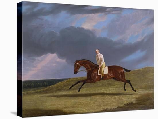 Corduroy', a Bay Racehorse, with a Jockey Up, Galloping on a Racecourse-John Frederick Herring I-Stretched Canvas