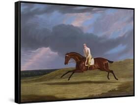 Corduroy', a Bay Racehorse, with a Jockey Up, Galloping on a Racecourse-John Frederick Herring I-Framed Stretched Canvas