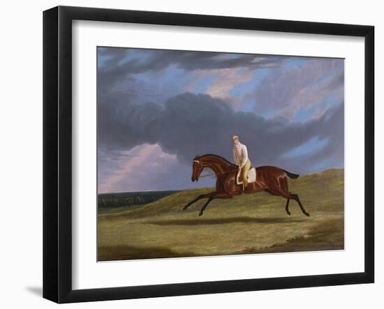 Corduroy', a Bay Racehorse, with a Jockey Up, Galloping on a Racecourse-John Frederick Herring I-Framed Giclee Print