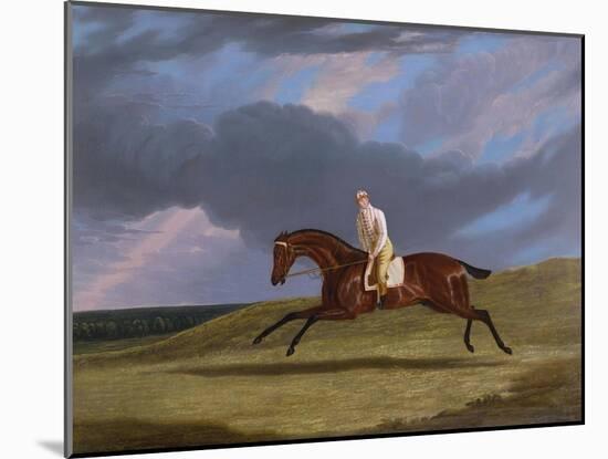 Corduroy', a Bay Racehorse, with a Jockey Up, Galloping on a Racecourse-John Frederick Herring I-Mounted Giclee Print