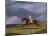 Corduroy', a Bay Racehorse, with a Jockey Up, Galloping on a Racecourse-John Frederick Herring I-Mounted Giclee Print