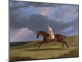 Corduroy', a Bay Racehorse, with a Jockey Up, Galloping on a Racecourse-John Frederick Herring I-Mounted Giclee Print
