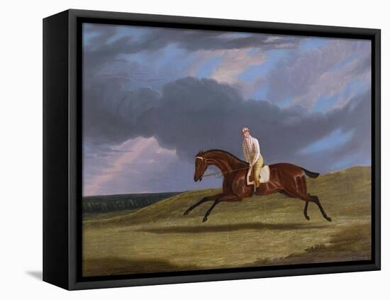 Corduroy', a Bay Racehorse, with a Jockey Up, Galloping on a Racecourse-John Frederick Herring I-Framed Stretched Canvas