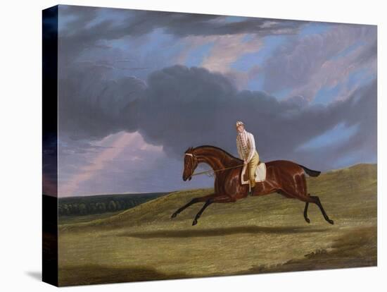 Corduroy', a Bay Racehorse, with a Jockey Up, Galloping on a Racecourse-John Frederick Herring I-Stretched Canvas