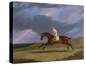 Corduroy', a Bay Racehorse, with a Jockey Up, Galloping on a Racecourse-John Frederick Herring I-Stretched Canvas