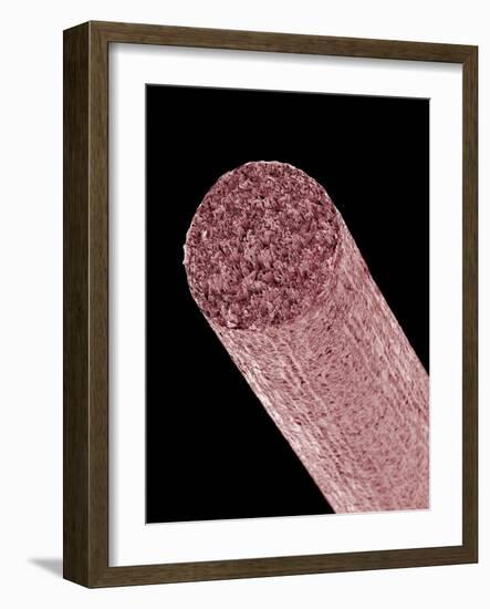 Core of Mechanical Pencil-Micro Discovery-Framed Photographic Print