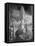 CoreIssues-Thomas Barbey-Framed Stretched Canvas