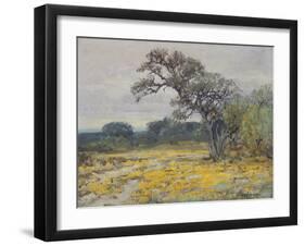 Coreopsis, Near San Antonio, Texas-null-Framed Giclee Print