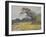 Coreopsis, Near San Antonio, Texas-null-Framed Giclee Print