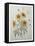 Coreopsis or Tickseed-Pierre-Joseph Redoute-Framed Stretched Canvas