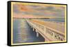 Corey Causeway, St. Petersburg, Florida-null-Framed Stretched Canvas