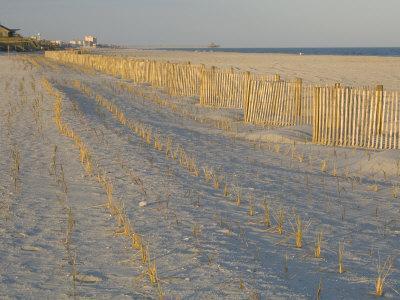 Grasses and Fences on Beach, Folly Island, Charleston, South Carolina, USA