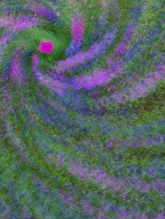 Multiple Exposure Swirl of Purple Petunias, Arlington, Virginia, USA