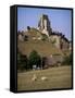 Corfe Castle, Dorset, England, United Kingdom-John Miller-Framed Stretched Canvas