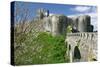 Corfe Castle, Dorset-Peter Thompson-Stretched Canvas