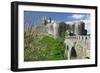 Corfe Castle, Dorset-Peter Thompson-Framed Photographic Print