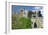Corfe Castle, Dorset-Peter Thompson-Framed Photographic Print