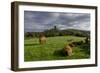 Corfe cows-Charles Bowman-Framed Photographic Print