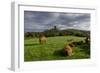 Corfe cows-Charles Bowman-Framed Photographic Print