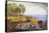 Corfu from Ascension, c.1856-64-Edward Lear-Stretched Canvas