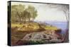 Corfu from Ascension, c.1856-64-Edward Lear-Stretched Canvas