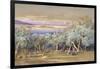 Corfu from Vonista, 1856-Edward Lear-Framed Giclee Print