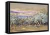 Corfu from Vonista, 1856-Edward Lear-Framed Stretched Canvas