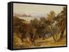 Corfu-Edward Lear-Framed Stretched Canvas