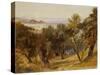 Corfu-Edward Lear-Stretched Canvas