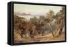 Corfu-Edward Lear-Framed Stretched Canvas