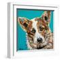 Corgi Cuteness I-Carolee Vitaletti-Framed Art Print