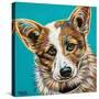 Corgi Cuteness I-Carolee Vitaletti-Stretched Canvas