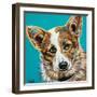 Corgi Cuteness I-Carolee Vitaletti-Framed Art Print