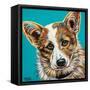 Corgi Cuteness I-Carolee Vitaletti-Framed Stretched Canvas