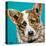 Corgi Cuteness I-Carolee Vitaletti-Stretched Canvas