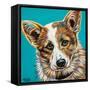 Corgi Cuteness I-Carolee Vitaletti-Framed Stretched Canvas