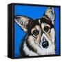 Corgi Cuteness II-Carolee Vitaletti-Framed Stretched Canvas