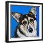 Corgi Cuteness II-Carolee Vitaletti-Framed Art Print