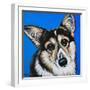 Corgi Cuteness II-Carolee Vitaletti-Framed Art Print