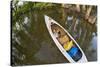 Corgi Dog in a Decked Expedition Canoe on a Lake in Colorado, a Distorted Wide Angle Fisheye Lens P-PixelsAway-Stretched Canvas