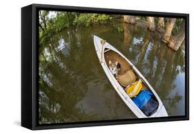 Corgi Dog in a Decked Expedition Canoe on a Lake in Colorado, a Distorted Wide Angle Fisheye Lens P-PixelsAway-Framed Stretched Canvas