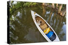 Corgi Dog in a Decked Expedition Canoe on a Lake in Colorado, a Distorted Wide Angle Fisheye Lens P-PixelsAway-Stretched Canvas