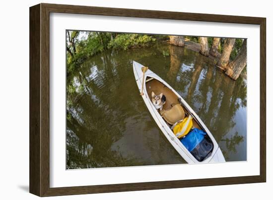 Corgi Dog in a Decked Expedition Canoe on a Lake in Colorado, a Distorted Wide Angle Fisheye Lens P-PixelsAway-Framed Photographic Print