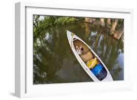 Corgi Dog in a Decked Expedition Canoe on a Lake in Colorado, a Distorted Wide Angle Fisheye Lens P-PixelsAway-Framed Photographic Print