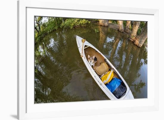 Corgi Dog in a Decked Expedition Canoe on a Lake in Colorado, a Distorted Wide Angle Fisheye Lens P-PixelsAway-Framed Photographic Print