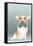 Corgi Dog-Barruf-Framed Stretched Canvas