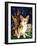 Corgi of the Faeries - Fairy Dog-Jasmine Becket-Griffith-Framed Art Print