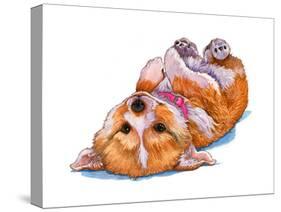 Corgi Puppy-Wendy Edelson-Stretched Canvas